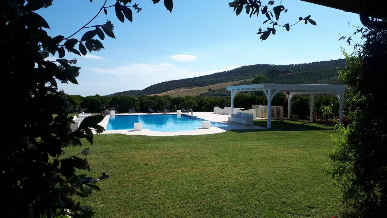 Agriturismo Trappeto Vecchio San Demetrio Corone Zewnętrze zdjęcie