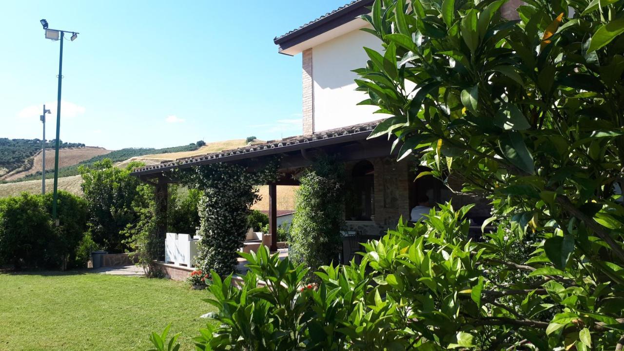 Agriturismo Trappeto Vecchio San Demetrio Corone Zewnętrze zdjęcie