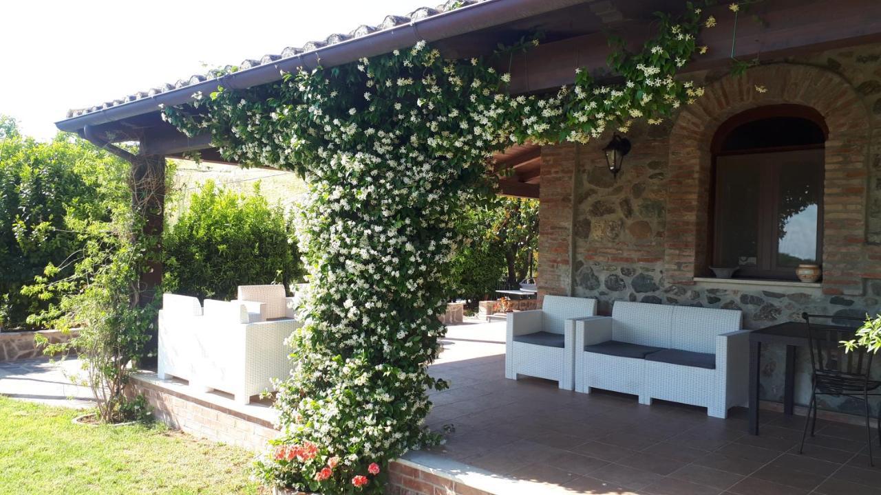 Agriturismo Trappeto Vecchio San Demetrio Corone Zewnętrze zdjęcie