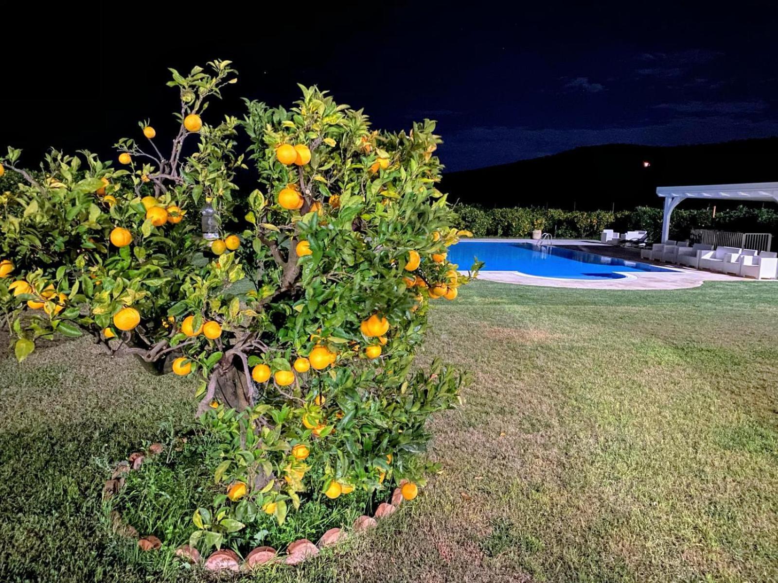 Agriturismo Trappeto Vecchio San Demetrio Corone Zewnętrze zdjęcie