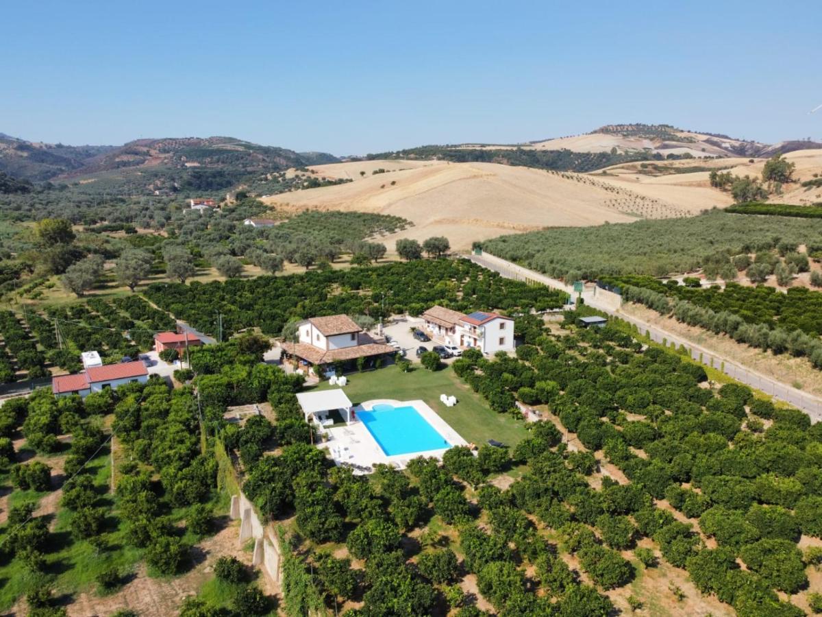 Agriturismo Trappeto Vecchio San Demetrio Corone Zewnętrze zdjęcie