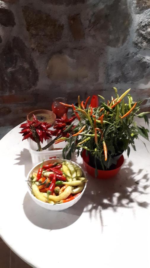 Agriturismo Trappeto Vecchio San Demetrio Corone Zewnętrze zdjęcie