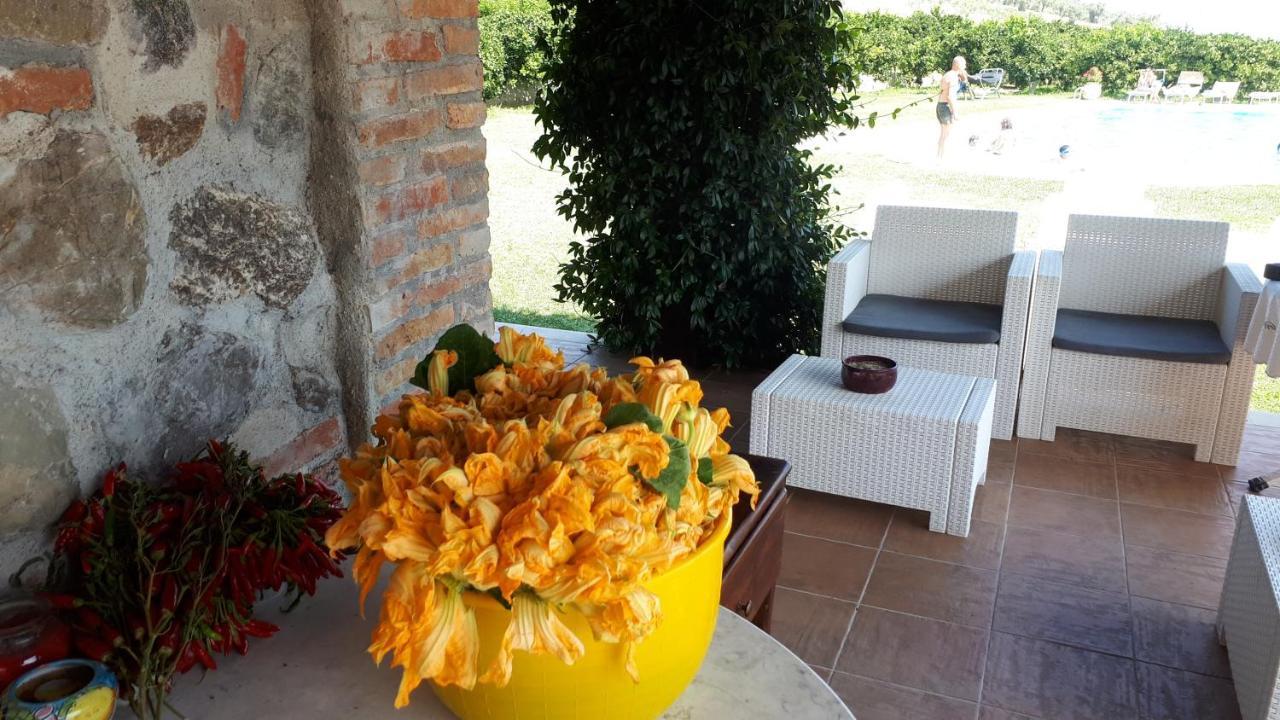 Agriturismo Trappeto Vecchio San Demetrio Corone Zewnętrze zdjęcie