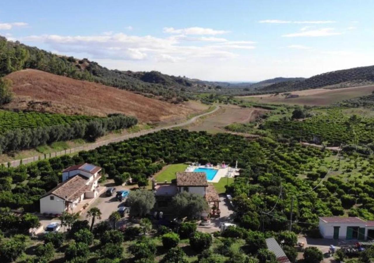 Agriturismo Trappeto Vecchio San Demetrio Corone Zewnętrze zdjęcie