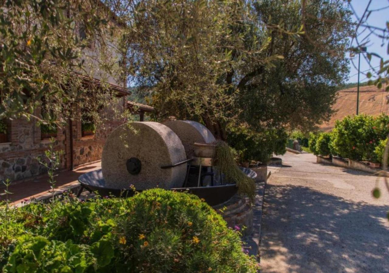 Agriturismo Trappeto Vecchio San Demetrio Corone Zewnętrze zdjęcie