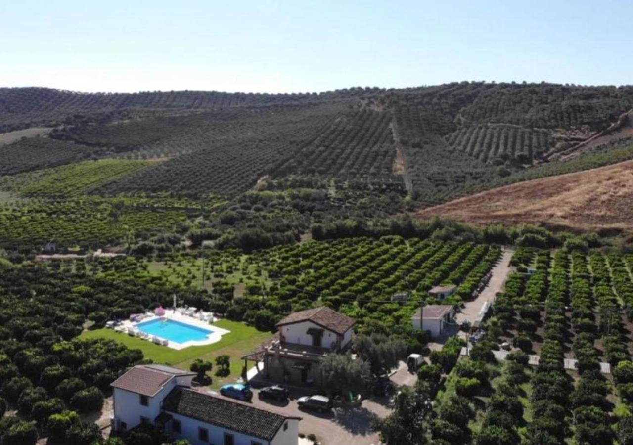 Agriturismo Trappeto Vecchio San Demetrio Corone Zewnętrze zdjęcie