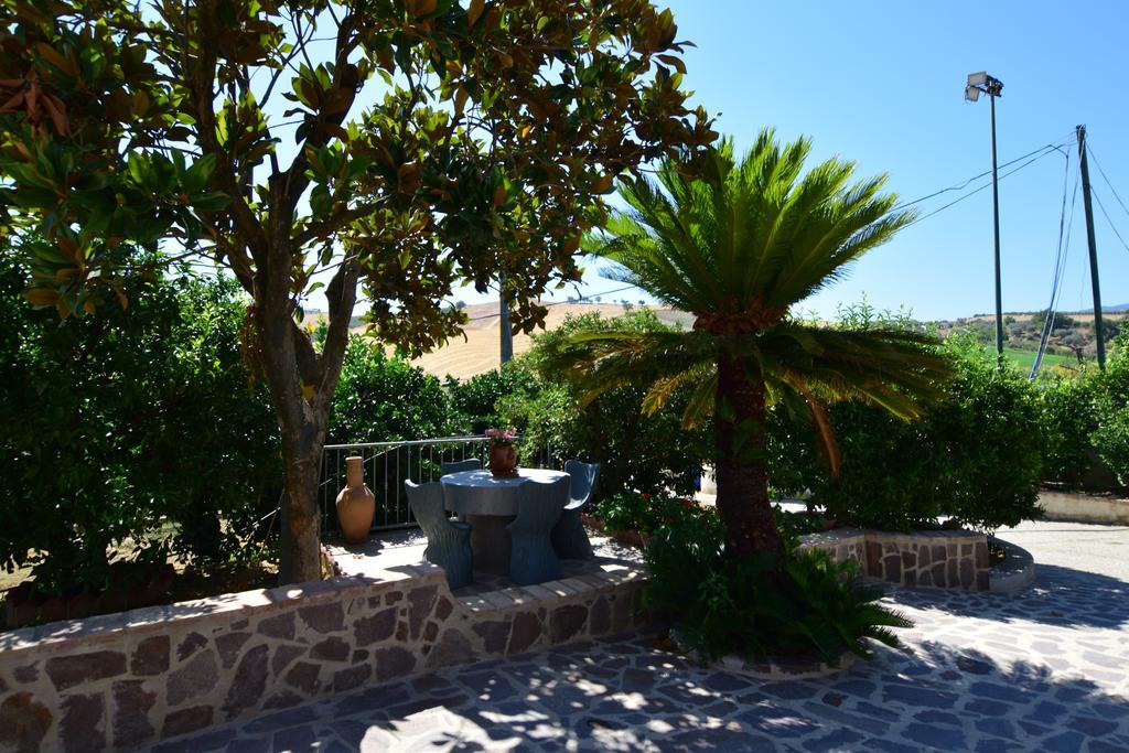 Agriturismo Trappeto Vecchio San Demetrio Corone Zewnętrze zdjęcie
