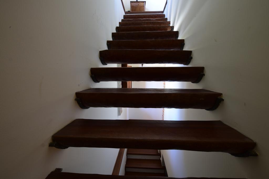 Agriturismo Trappeto Vecchio San Demetrio Corone Zewnętrze zdjęcie