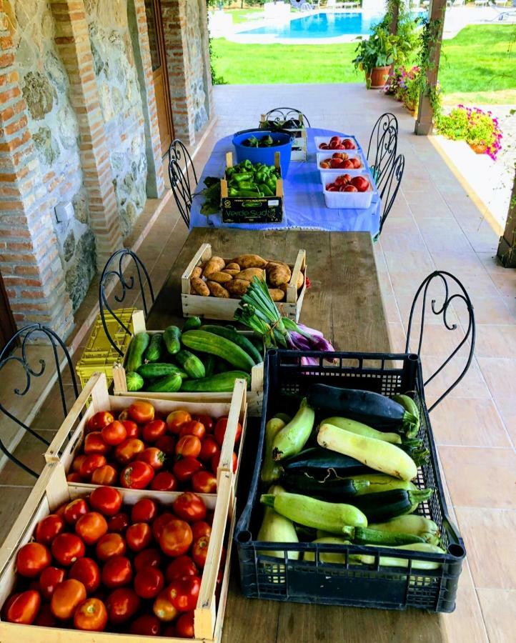 Agriturismo Trappeto Vecchio San Demetrio Corone Zewnętrze zdjęcie